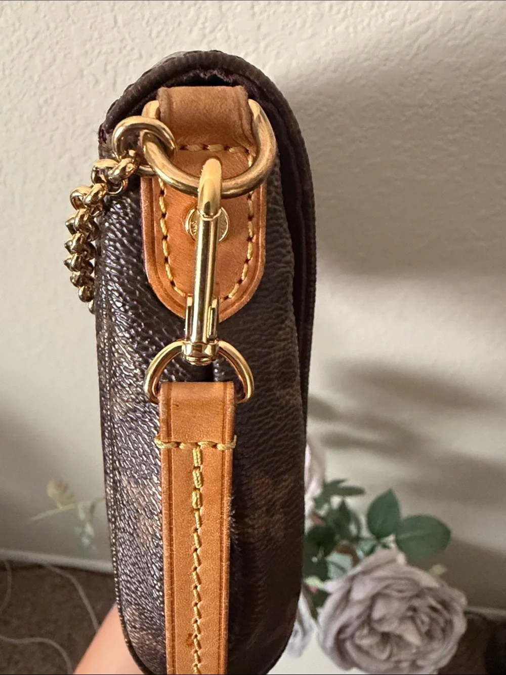 Louis Vuitton classic hard